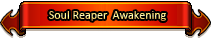 Soul Reaper Awakening Banner.png