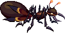 Nightmare Ant.png